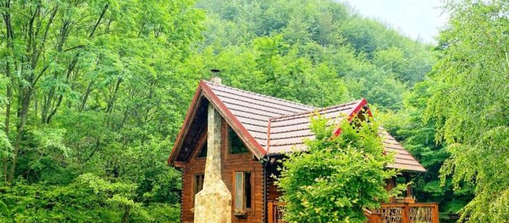 case din lemn si cabane pentru vacanta 2